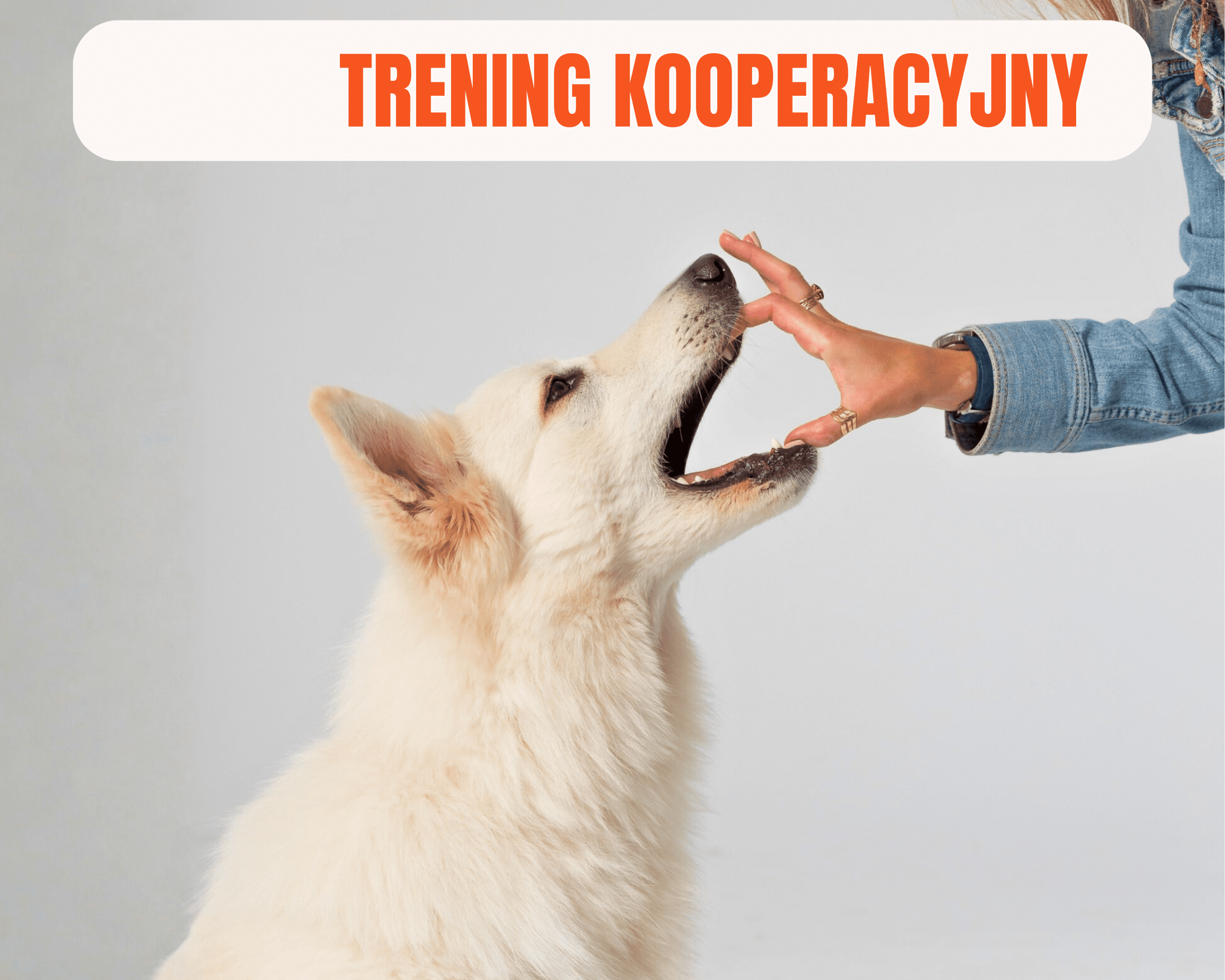 Trening Kooperacyjny