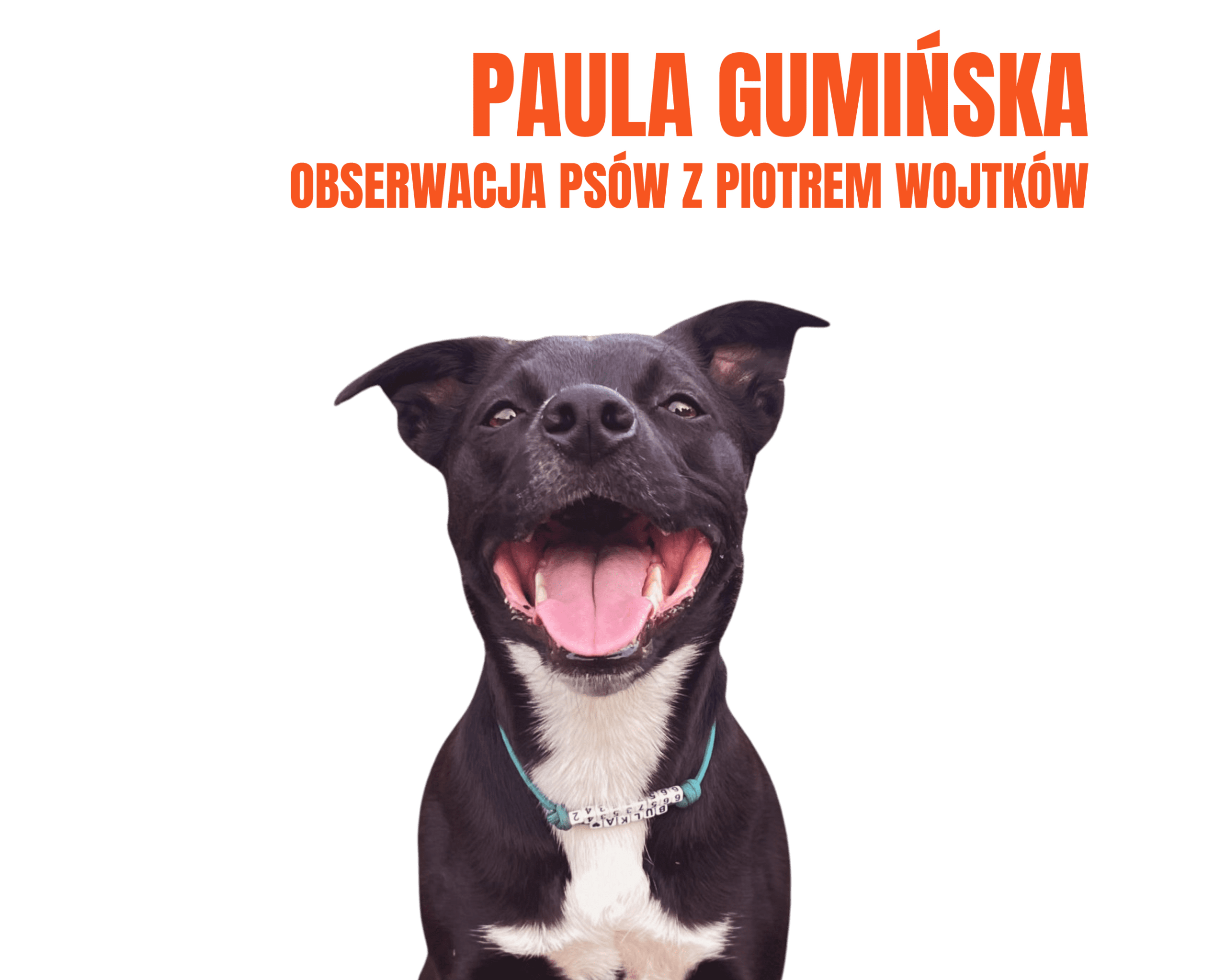 Obserwacja psów z Paulą Gumińską i Piotrem Wojtków