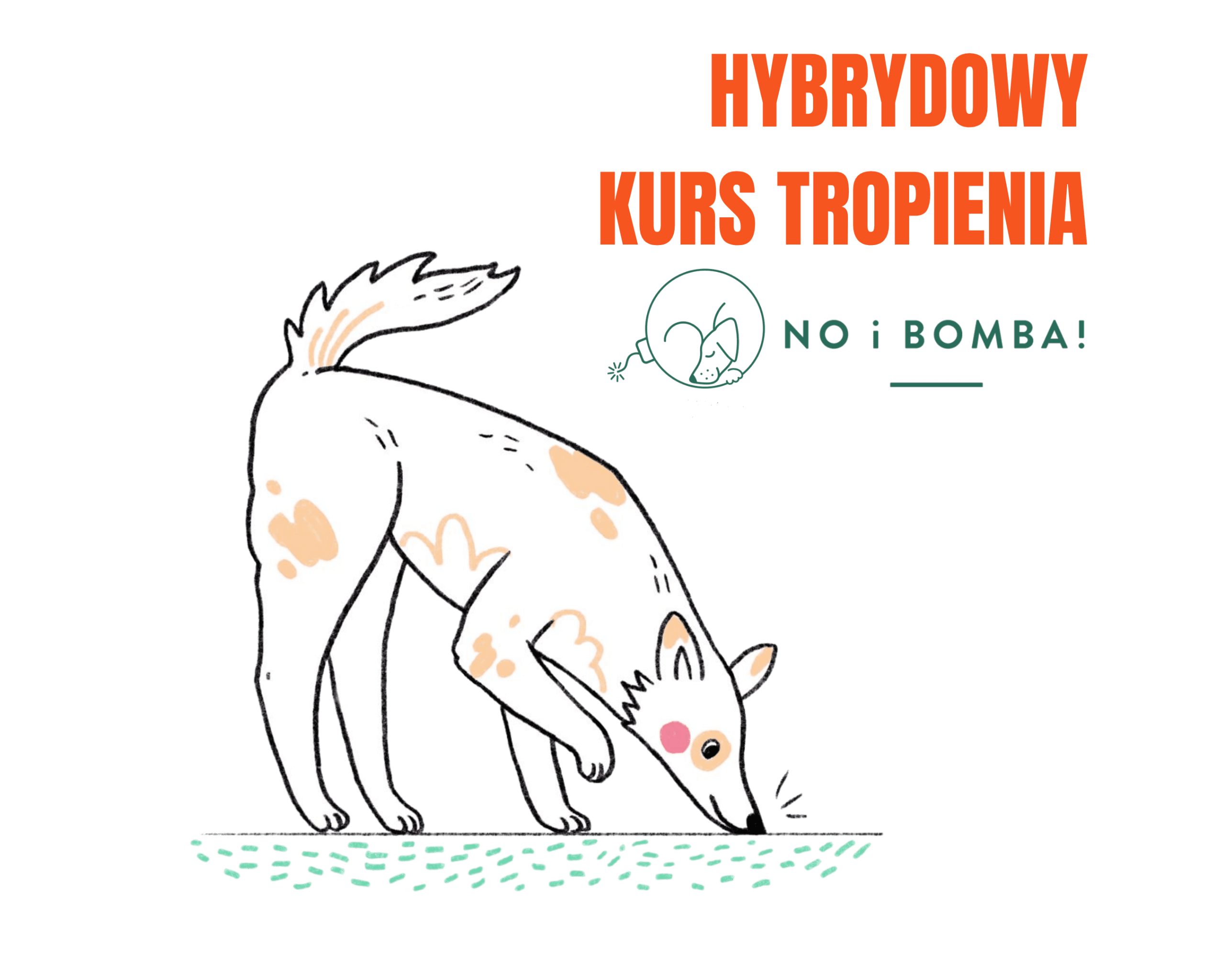 Hybrydowy Kurs Tropienia z NO i BOMBA!
