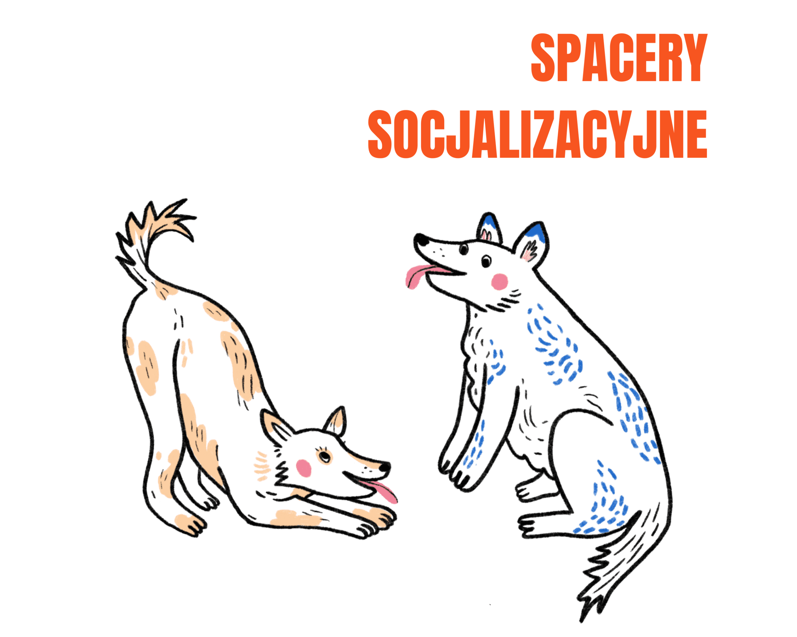 Spacery socjalizacyjne - krok do lepszego zrozumienia